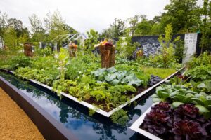 Bord Bia's Bloom 2019