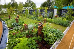 Bord Bia's Bloom 2019